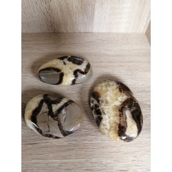 Septaria en Galet
