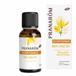 Diffusable Bien chez soi 30 ml