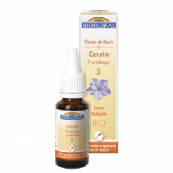 05 - Cerato - Plumbago - 20 ml