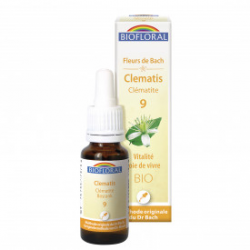 09 -Clematis - Clématite -...