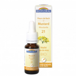 21 - Mustar - Moutarde - 20 ml