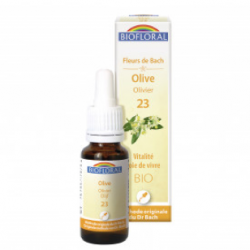 23 - Olive - Olivier - 20 ml