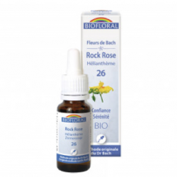 26 - Rock rose -...