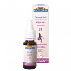 31 – Vervain-Verveine - 20 ml