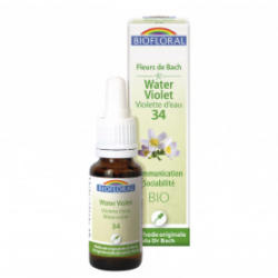 34 – Water Violet -...