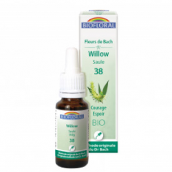 38 – Willow - Saule - 20 ml